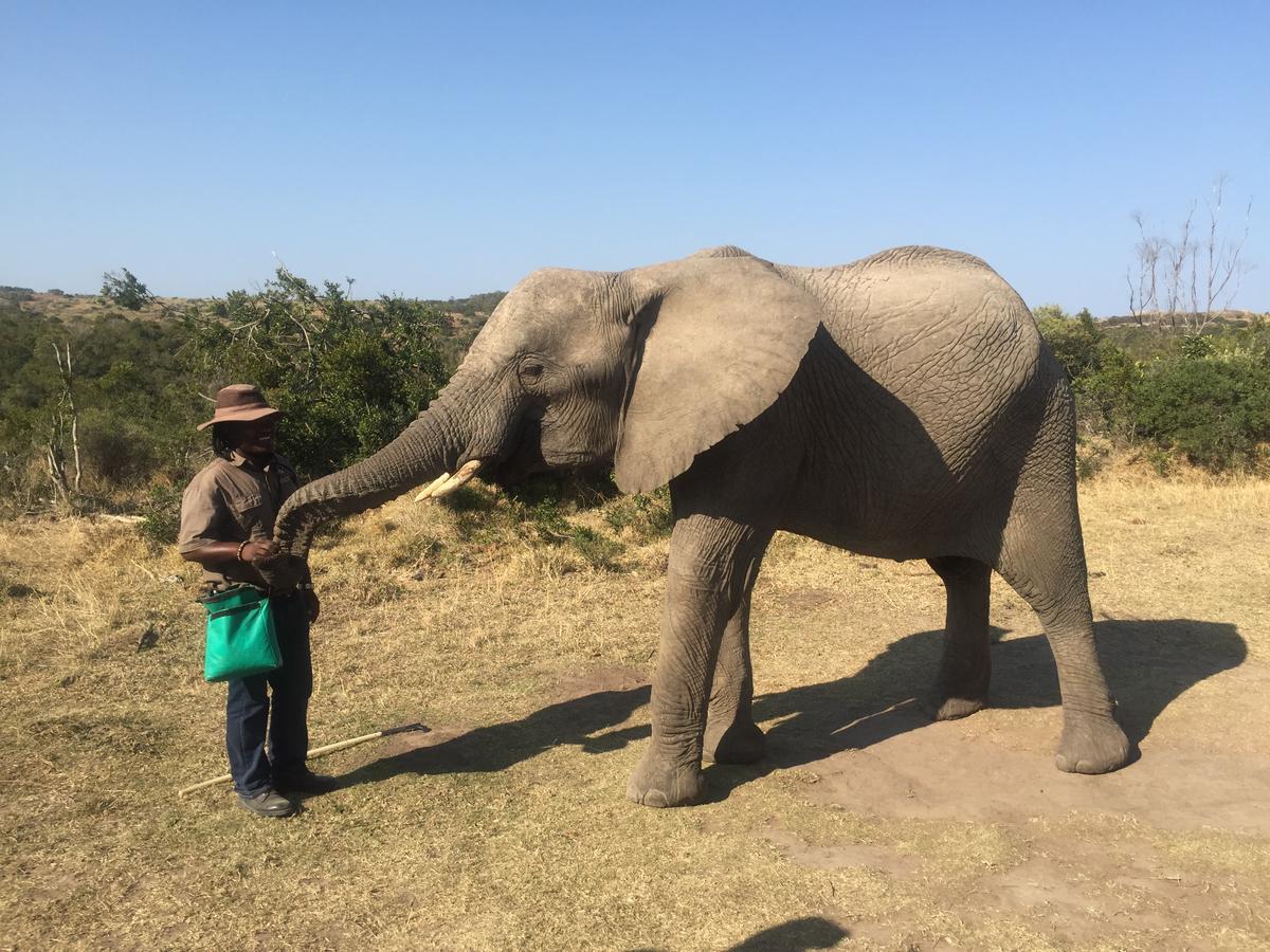 African Crags Eco-Lodge The Crags Экстерьер фото